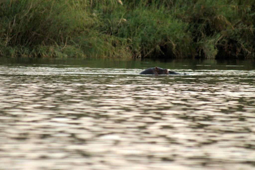 Camp Hogo Kavango Rundu Εξωτερικό φωτογραφία