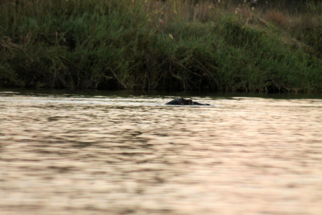 Camp Hogo Kavango Rundu Εξωτερικό φωτογραφία