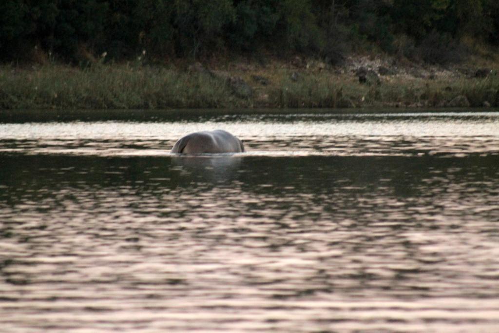 Camp Hogo Kavango Rundu Εξωτερικό φωτογραφία